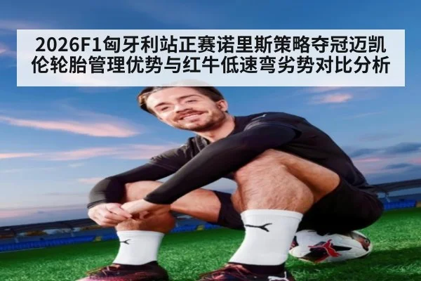 2026F1匈牙利站正赛诺里斯策略夺冠迈凯伦轮胎管理优势与红牛低速弯劣势对比分析
