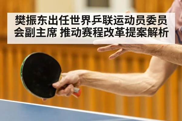 樊振东出任世界乒联运动员委员会副主席 推动赛程改革提案解析